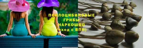 a pvp Кулебаки