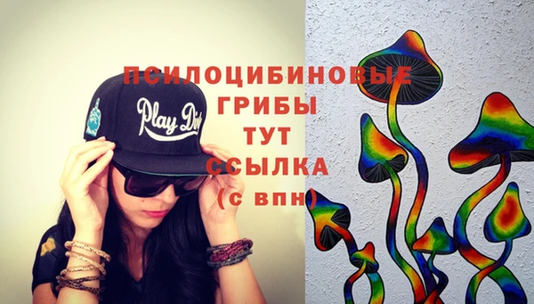ECSTASY Кукмор