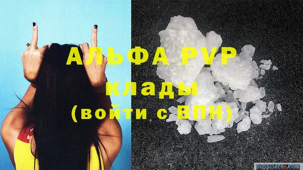 ECSTASY Кукмор