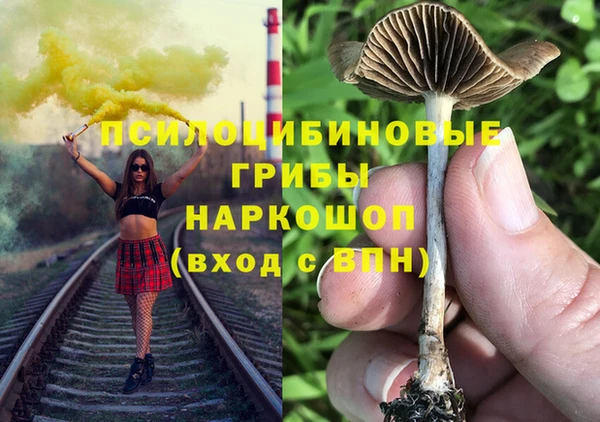 a pvp Кулебаки